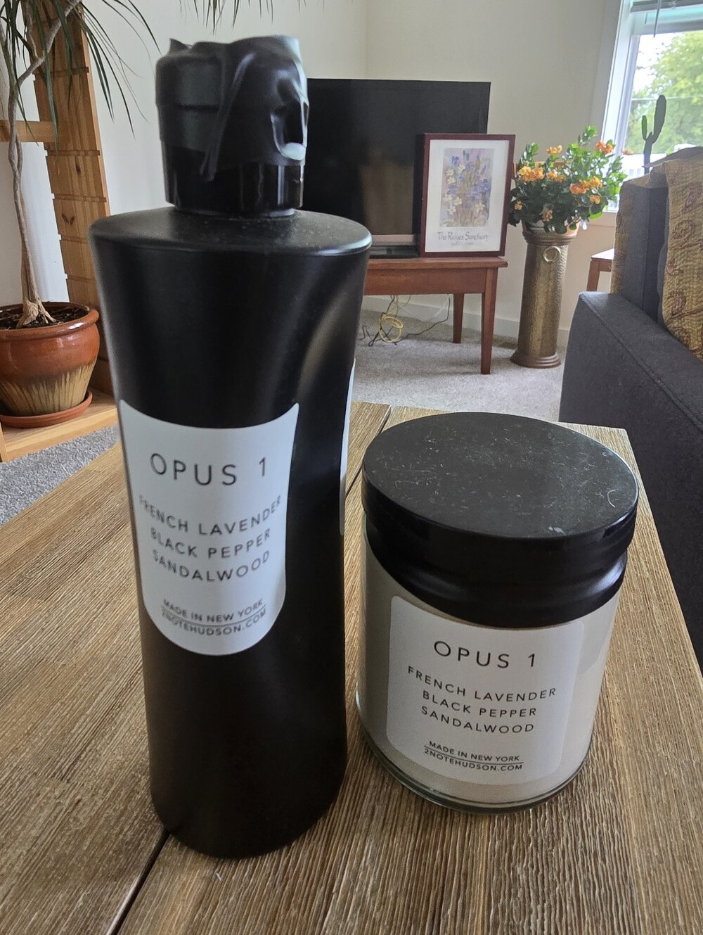 Opus 1 Shower Gel & Shea Butter Hand + Body Lotion